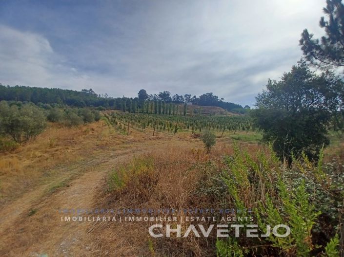 Image No.21-Ferme à vendre à Tomar