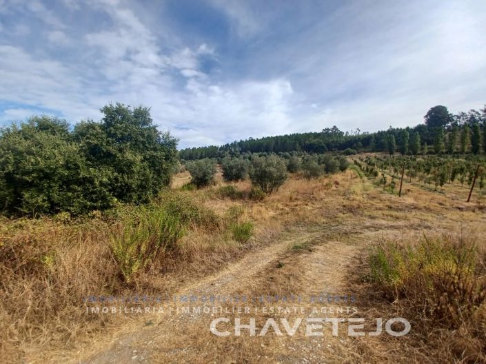Image No.22-Ferme à vendre à Tomar