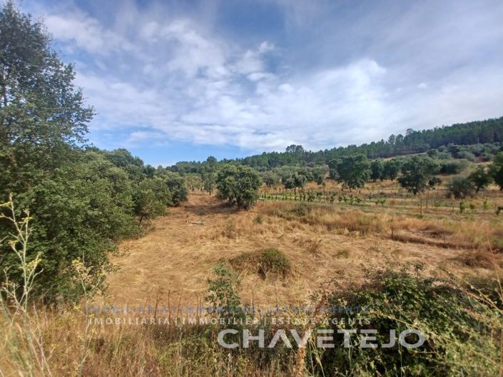 Image No.3-Ferme à vendre à Tomar