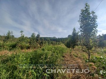 ida5cba601-0000-0500-0000-0000169022e5