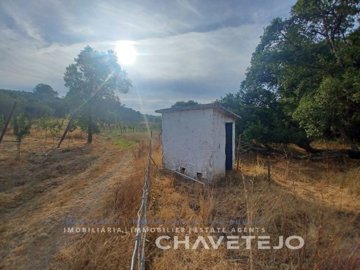 ida5cba601-0000-0500-0000-0000169022e1