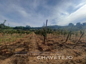 ida5cba601-0000-0500-0000-0000169022e2