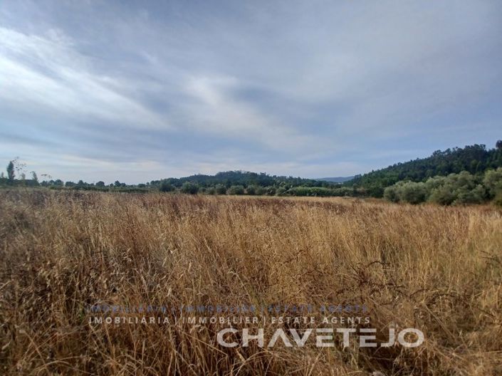 Image No.9-Ferme à vendre à Tomar