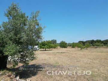 id4688a701-0000-0500-0000-000016a30e19