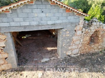 id25b1b001-0000-0500-0000-0000173f1a31