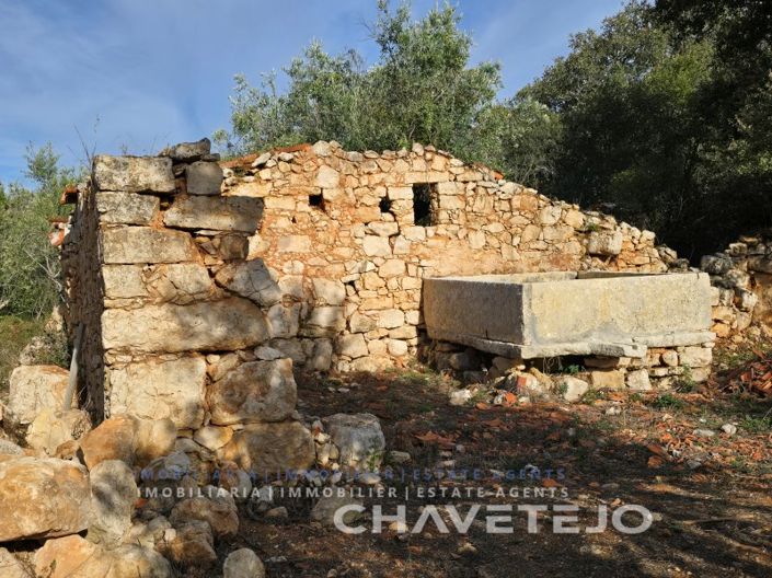 Image No.4-Maison à vendre à Ferreira do Zêzere