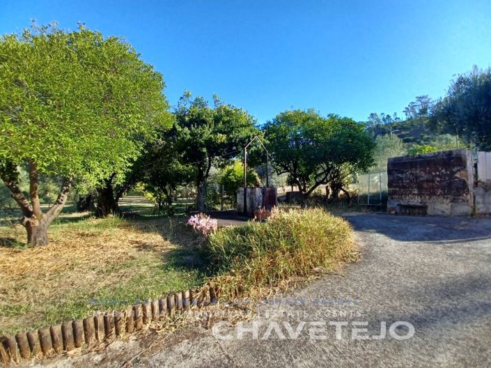 Image No.37-Maison de 4 chambres à vendre à Tomar