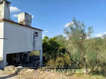 id3399b301-0000-0500-0000-0000177474b4