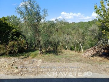 id3399b301-0000-0500-0000-0000177474b6