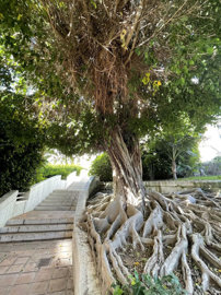 12-53013098fcab6c38b1379cd33298e050