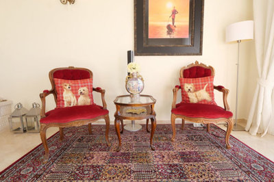 12-53013098fcab6c38b1379cd33298e050