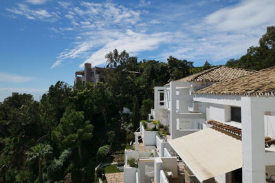 8-e64a9055bba3e77ac8aca3b893cdf826