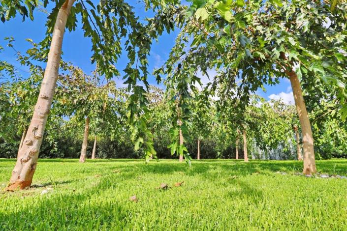 Image No.42-Appartement de 2 chambres à vendre à Coral Bay