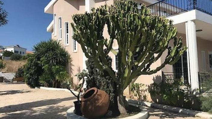 Image No.3-Maison / Villa de 4 chambres à vendre à Leivadia