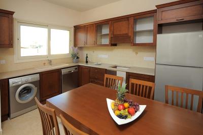 305310_225371147533290_839210045_n