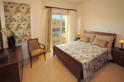 378803_225371097533295_1818562894_n