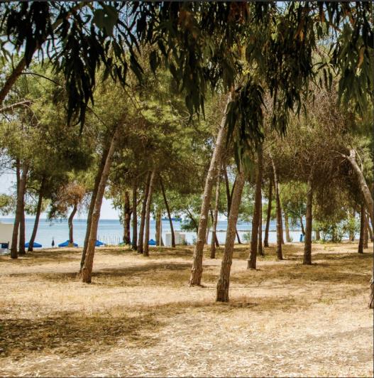 Image No.3-Appartement de 3 chambres à vendre à Limassol