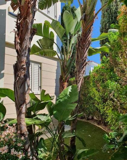 Image No.20-5 Bed House/Villa for sale