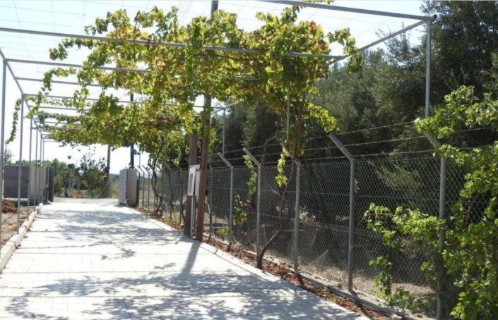 Image No.5-3 Bed House/Villa for sale