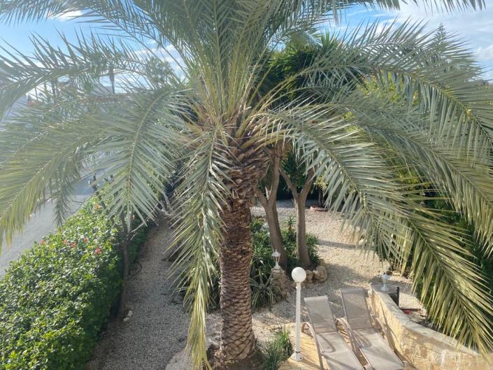 Image No.37-Maison / Villa de 3 chambres à vendre à Coral Bay