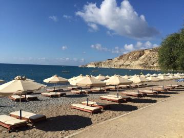 WhatsApp-Image-2024-03-15-at-11-34-45