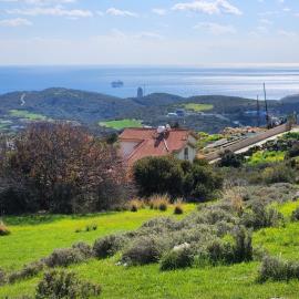 337546713_931444457996238_1087252317435735065_n