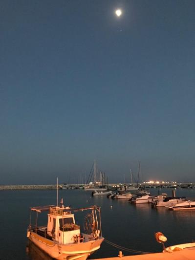 Image No.23-Villa de 4 chambres à vendre à Zygi