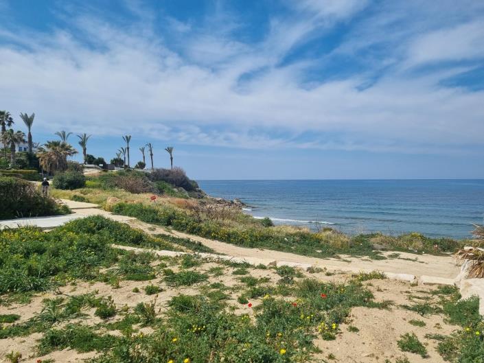 Image No.15-Villa de 5 chambres à vendre à Kissonerga