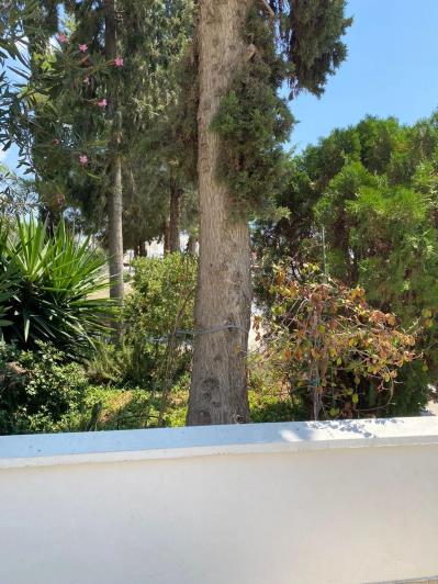 Image No.32-Appartement de 3 chambres à vendre à Oroklini