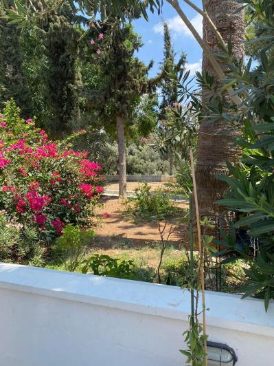 Image No.34-Appartement de 3 chambres à vendre à Oroklini