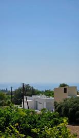 WhatsApp-Image-2024-08-21-at-13-26-06