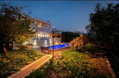 -----------WhatsApp------_-2024-08-22---14-21-56_91a16a24