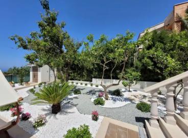 -----------WhatsApp------_-2024-08-22---14-21-58_61db21bc