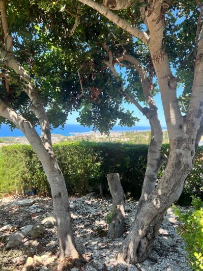 Image No.37-Villa de 3 chambres à vendre à Kamares