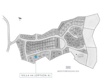 WhatsApp-Image-2025-05-19-at-11-57-31