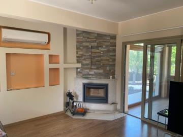 WhatsApp-Image-2025-04-02-at-14-14-31--2-