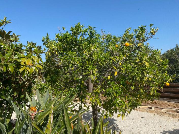 Image No.28-4 Bed Villa for sale