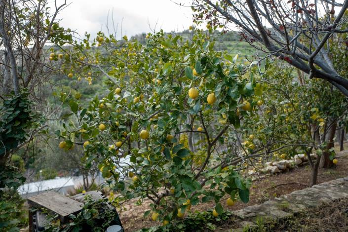 Image No.38-7 Bed Villa for sale