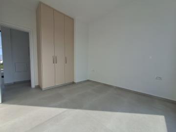 20250225_151239-scaled