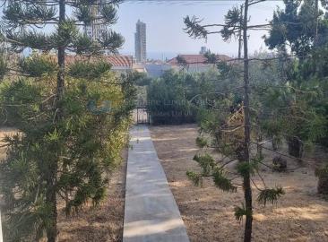 ImageProcessor-aspx-11