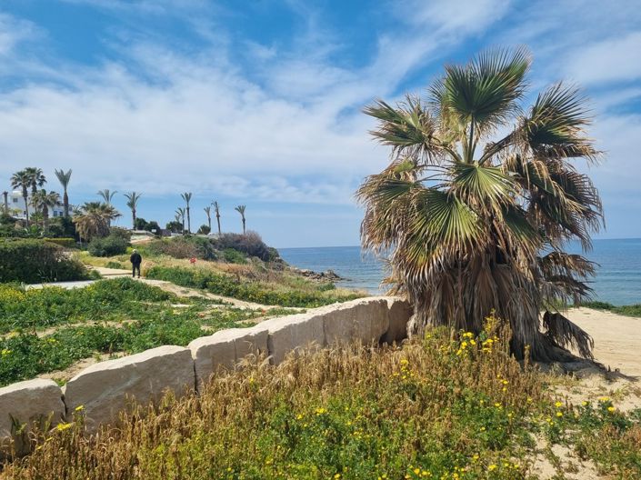 Image No.31-Villa de 5 chambres à vendre à Paphos