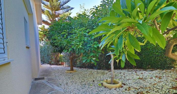 Image No.20-Bungalow de 2 chambres à vendre à Paphos