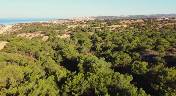 Image No.7-Villa de 3 chambres à vendre à Pissouri