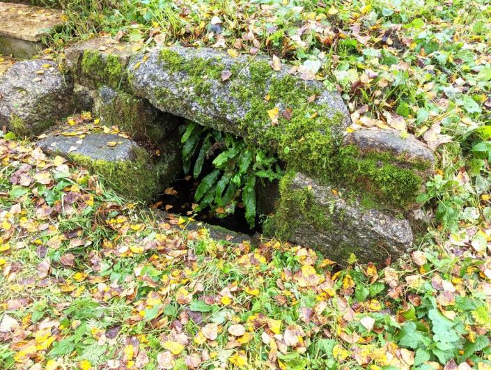 Image No.31-2 Bed House for sale