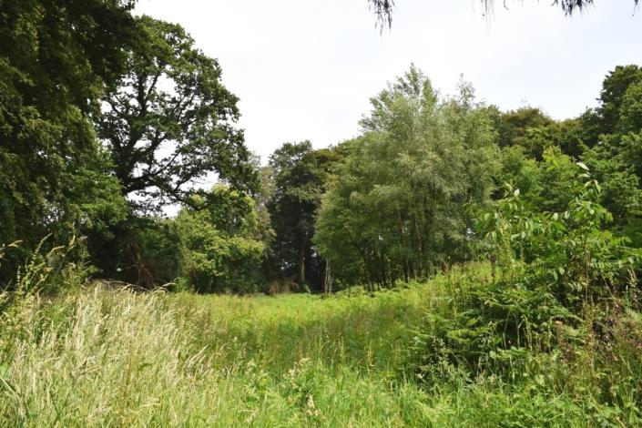 Image No.34-5 Bed House for sale