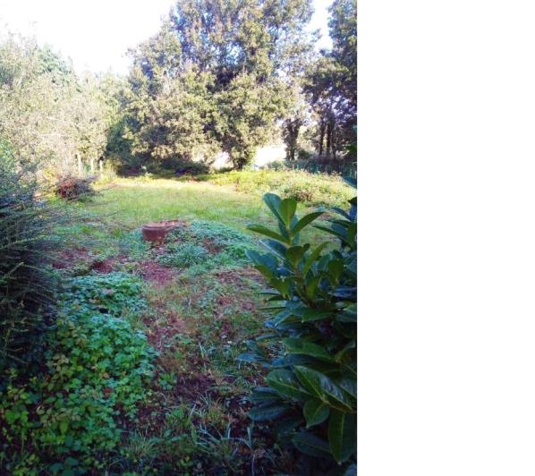 Image No.26-3 Bed House for sale