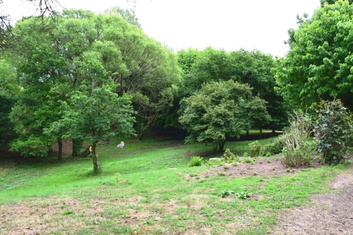 Image No.31-Maison de 6 chambres à vendre à Glomel