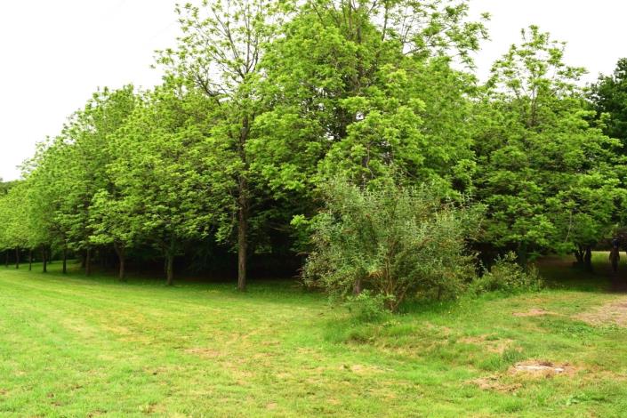 Image No.41-Maison de 6 chambres à vendre à Glomel