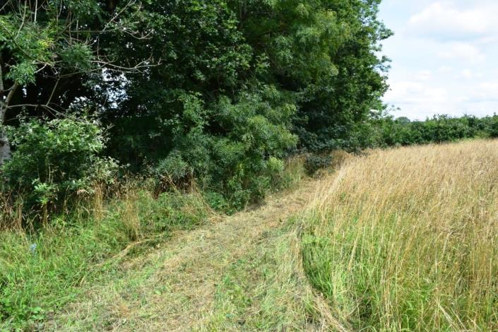 Image No.8-House for sale