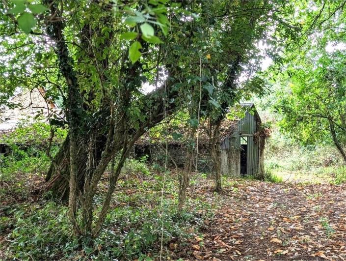 Image No.18-Maison de 4 chambres à vendre à Locarn